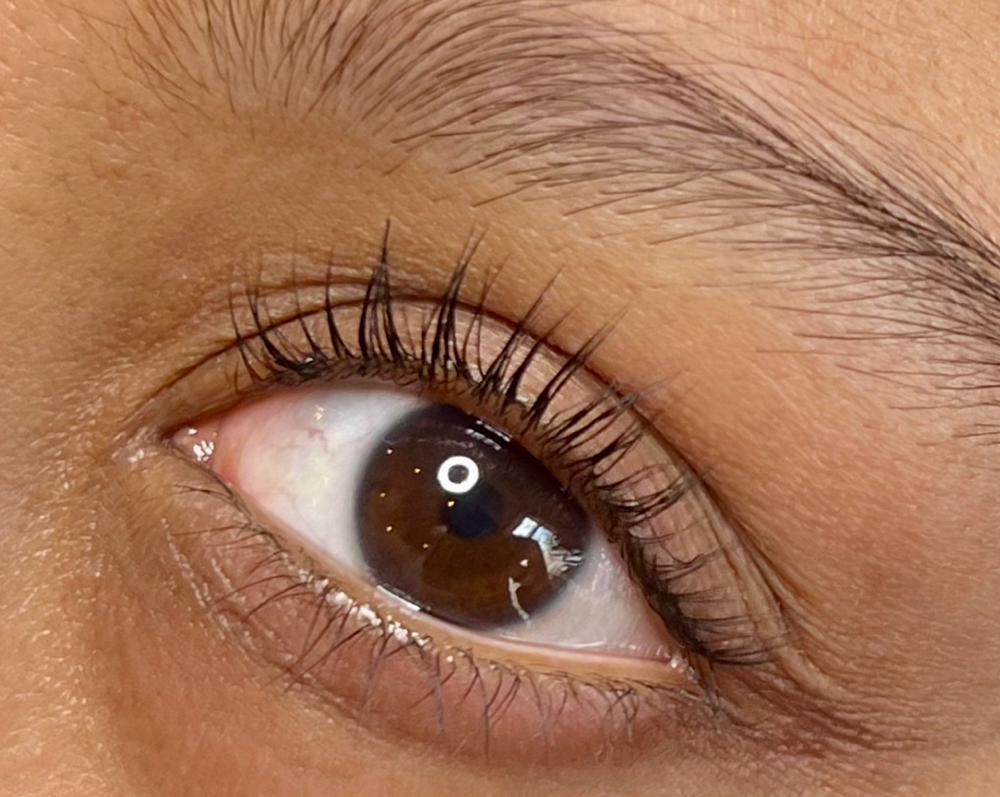 Keratin Lash Lift And Tint