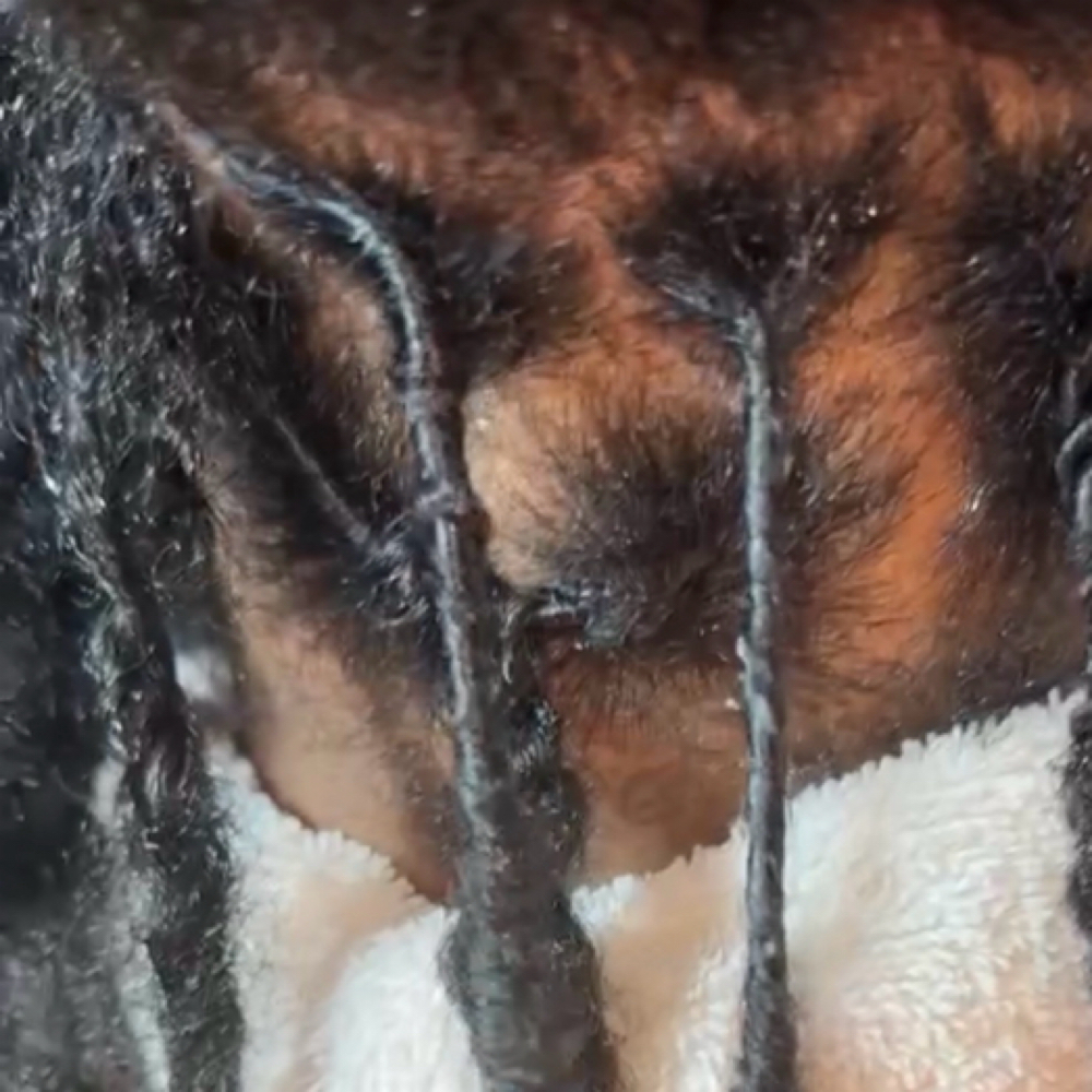 Interlock Loc Service (roots) at Last Minute Beauty Salon in Beckley, WV