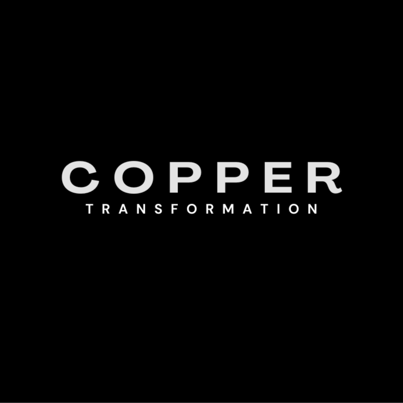 Copper transformation at Chanel Stylez in Englewood, CO