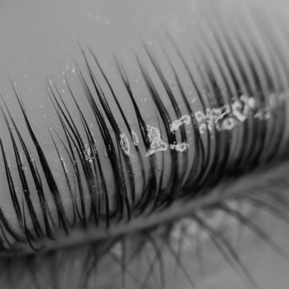 Fall Signature Lash Lift at Beauty By Brenda Studio in Largo, FL