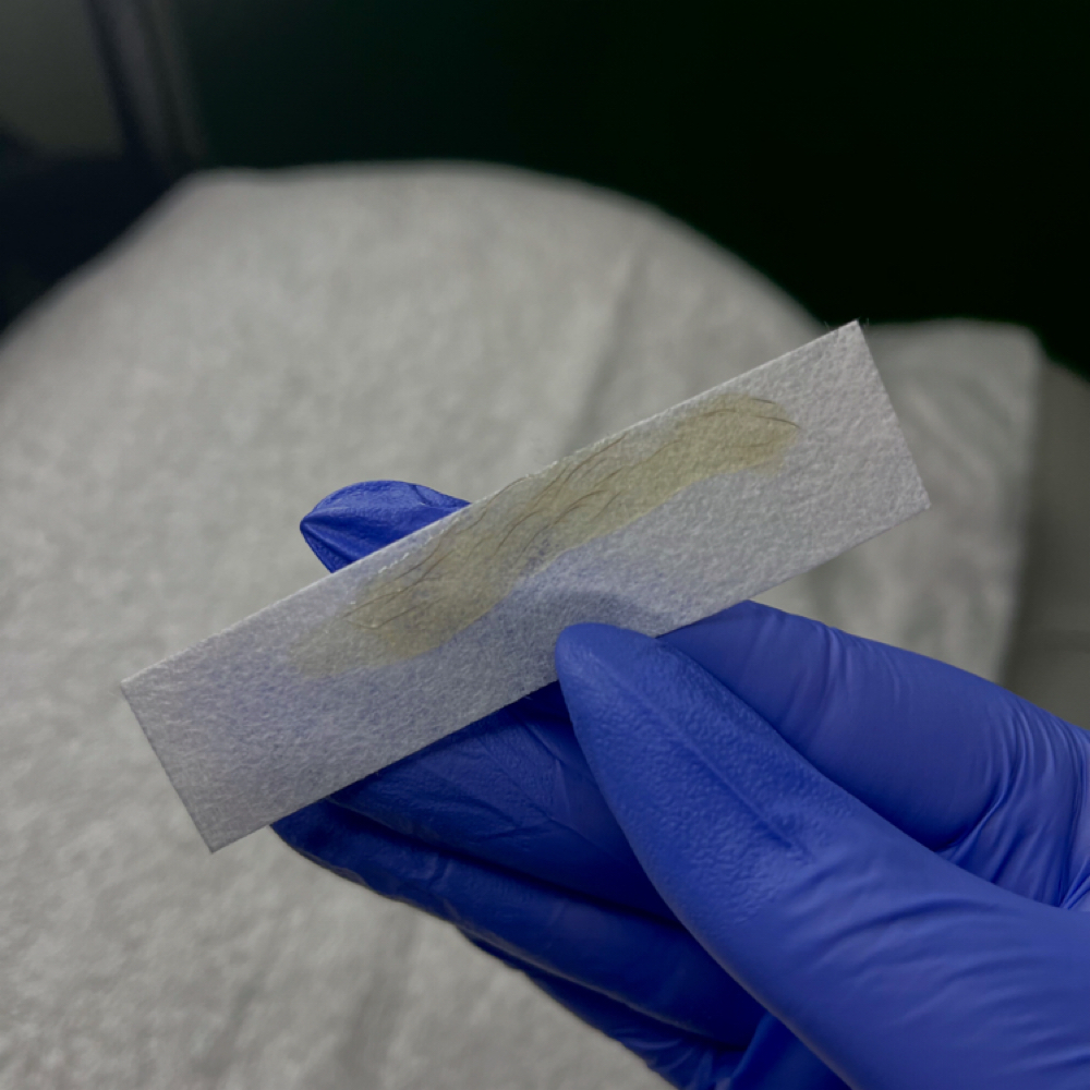 Brow Wax at Genesis Health and Beauty Bar in Daphne, AL