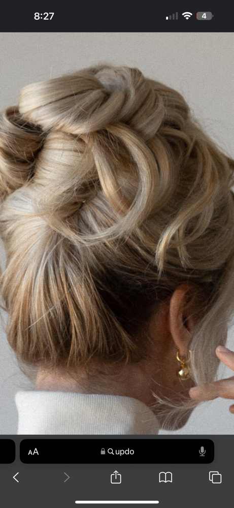 Formal Hairstyle