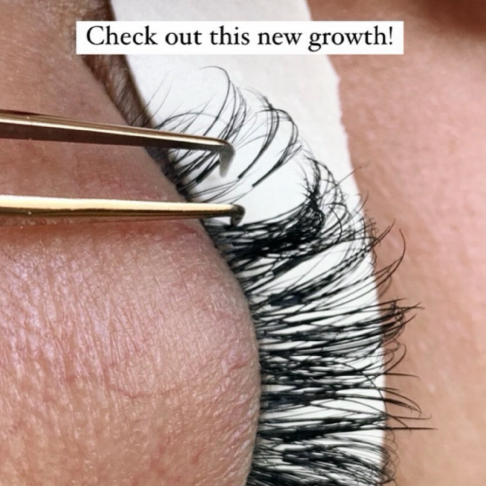 2 Week -1 Hr. Hybrid Fill at — Lashing It Up — in Long Beach, CA