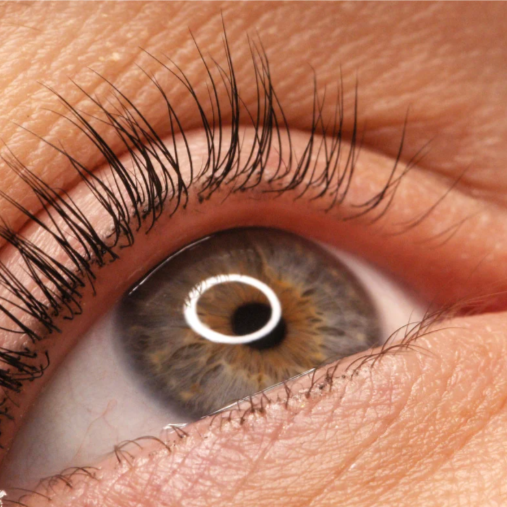 Lash Tint at Ethical Esthetics in Bedford, NH