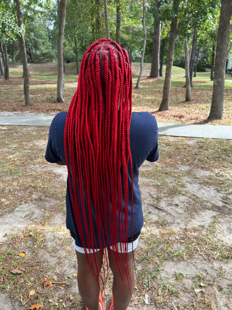 Medium Knotless Braids/ Twists