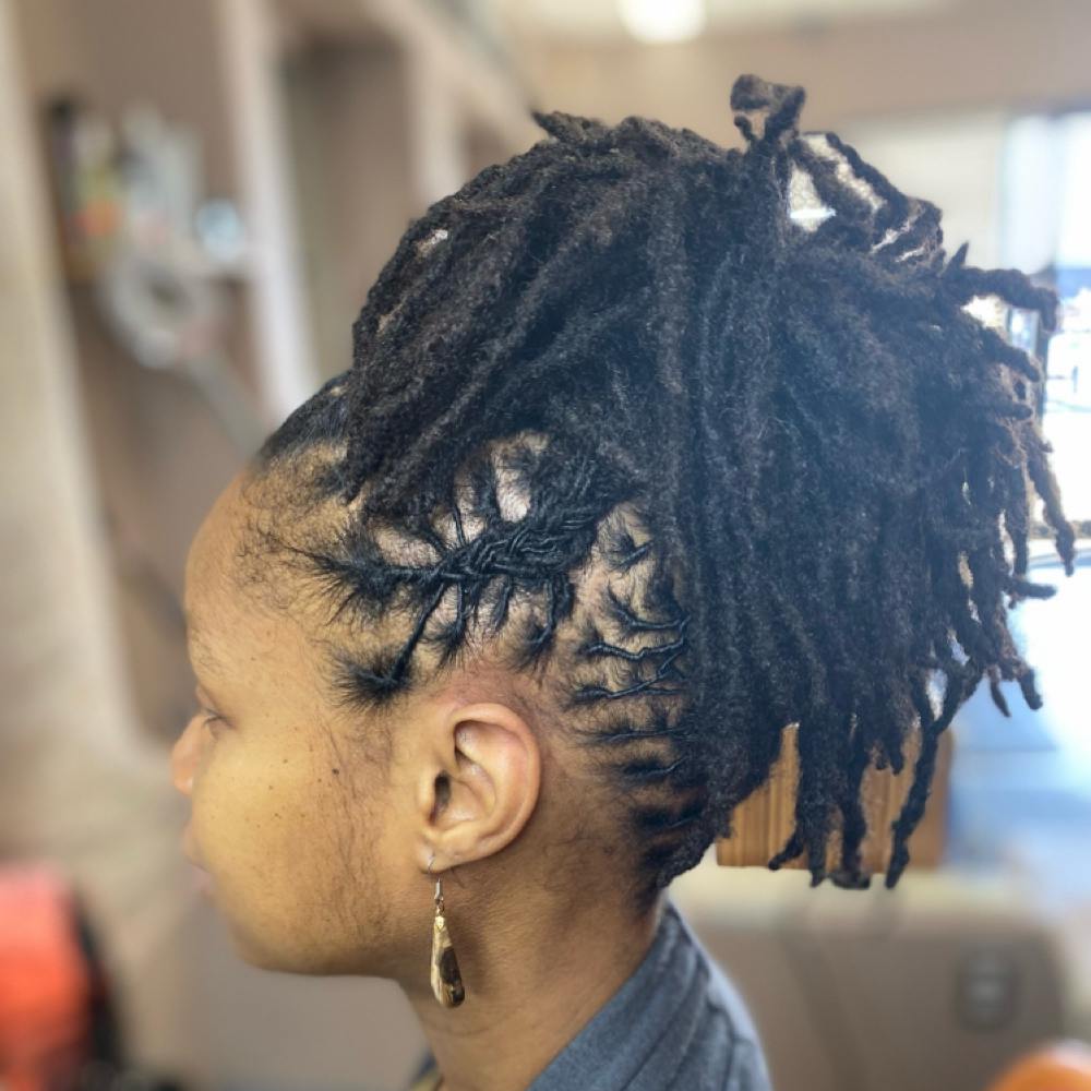 301-400 Retwist at LASHDAE of Roots To Royalty Studio in Phoenix, AZ