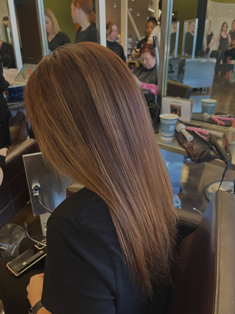 Root Touch Up (Color Only)