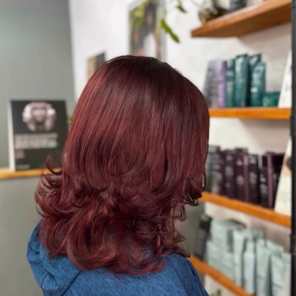 All Over Color + Haircut Styling at Bixa Hair Studio in San Antonio, TX