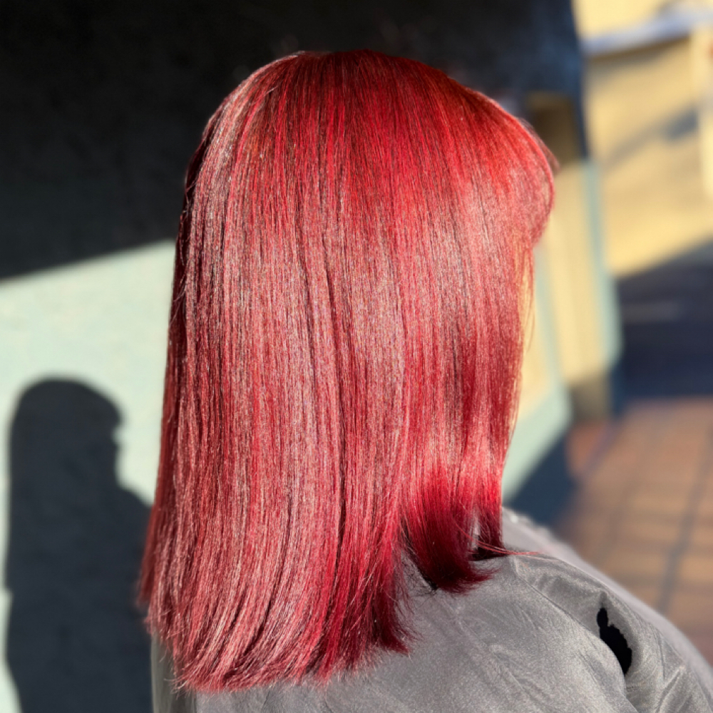 All Over Color + Haircut Styling at Bixa Hair Studio in San Antonio, TX