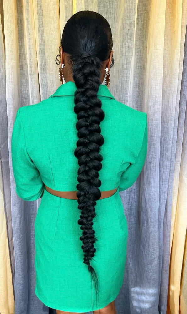 Butterfly braid sleek ponytail