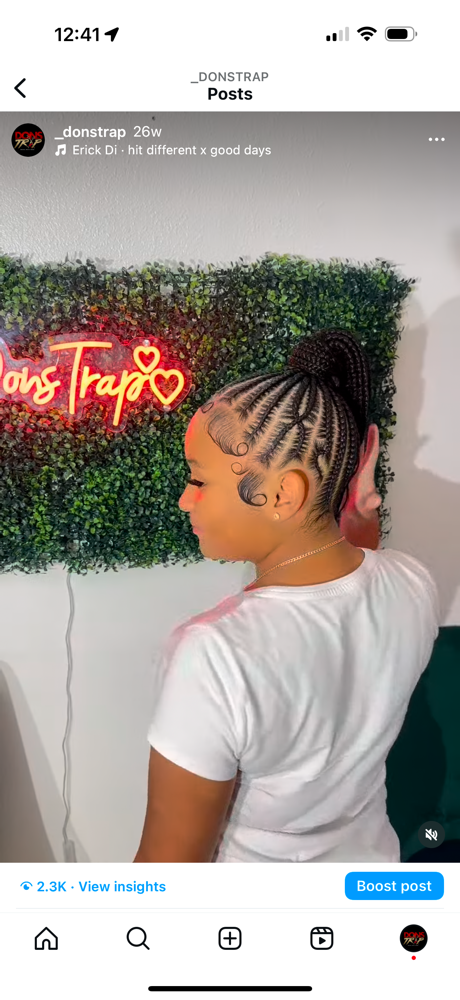 Braided Ponytail