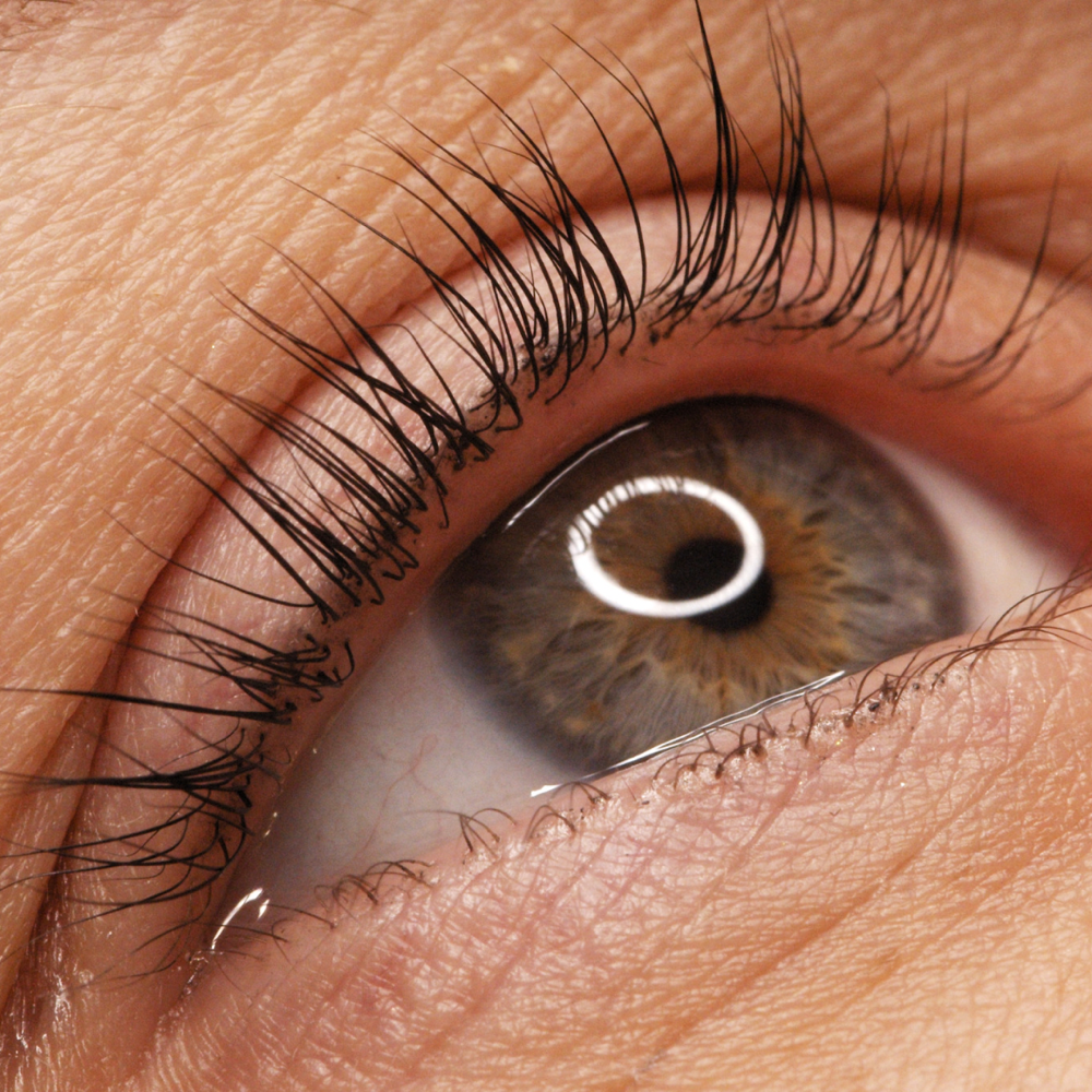 Korean Lash Lift & Tint