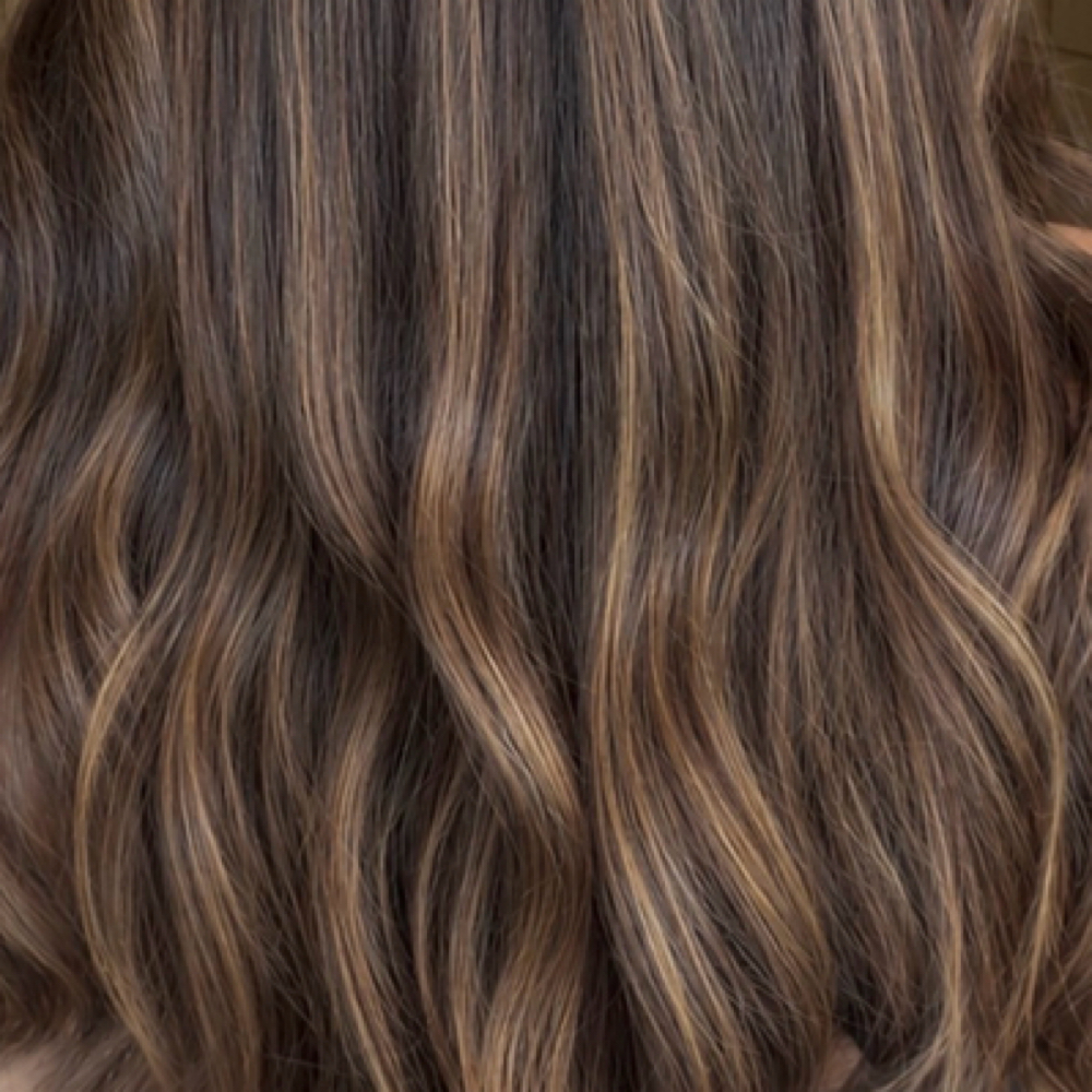 Brunette Face Frame + Root Melt at 11:11 Collection in Summerville, SC