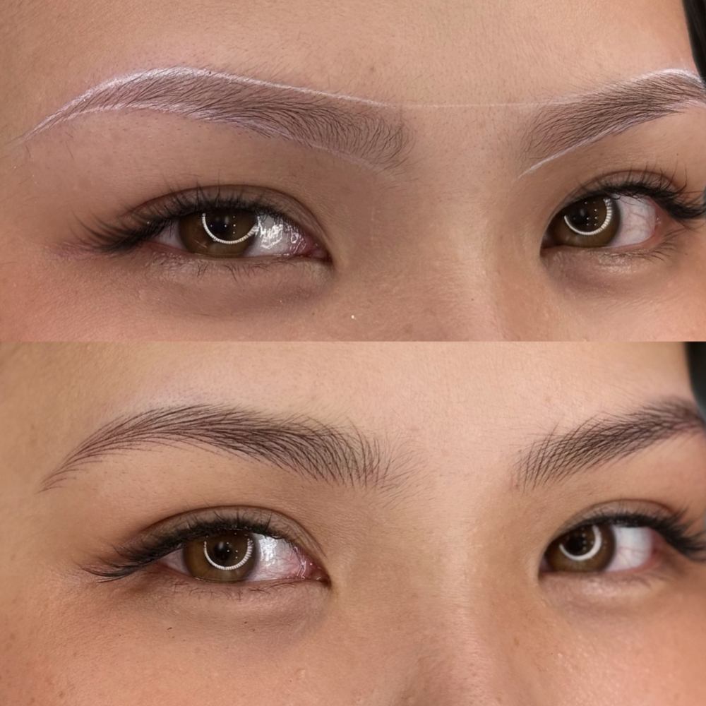 Nano Hairtrokes at Mayebrows in Webster, TX