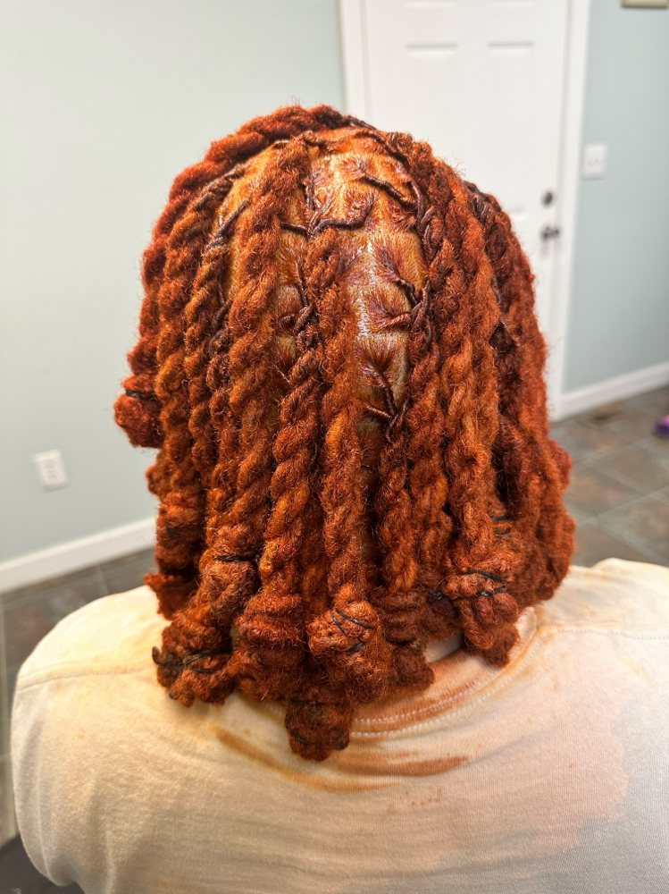 Whole Head of Color