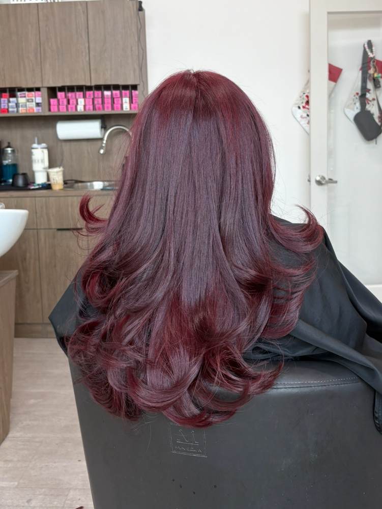 Double Process Color at Styled by Larissa in Clayton, NC