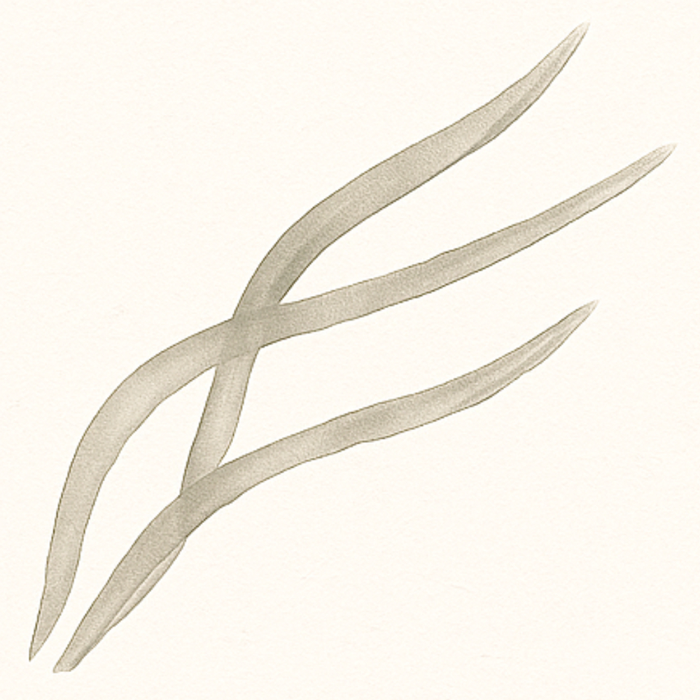 Special Occasion Style at trio+grace salon co. in River Falls, WI