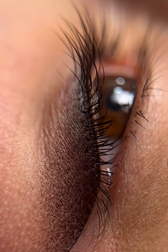 Eye Shadow