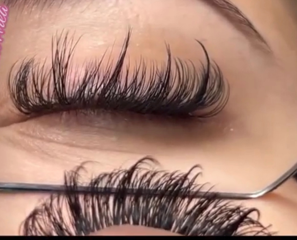 Strip Lash Fill In