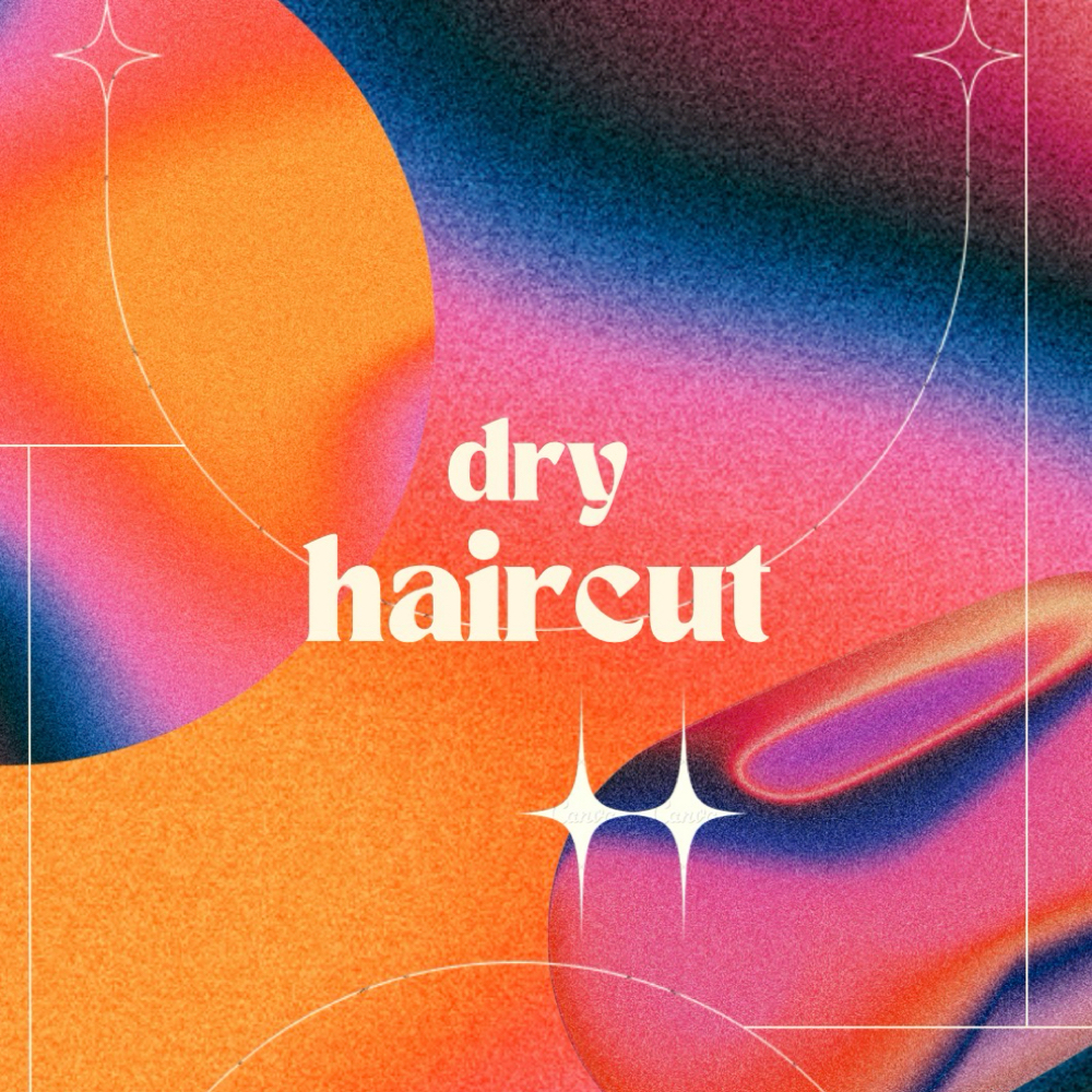 Dry Haircut Existing Clients Only!