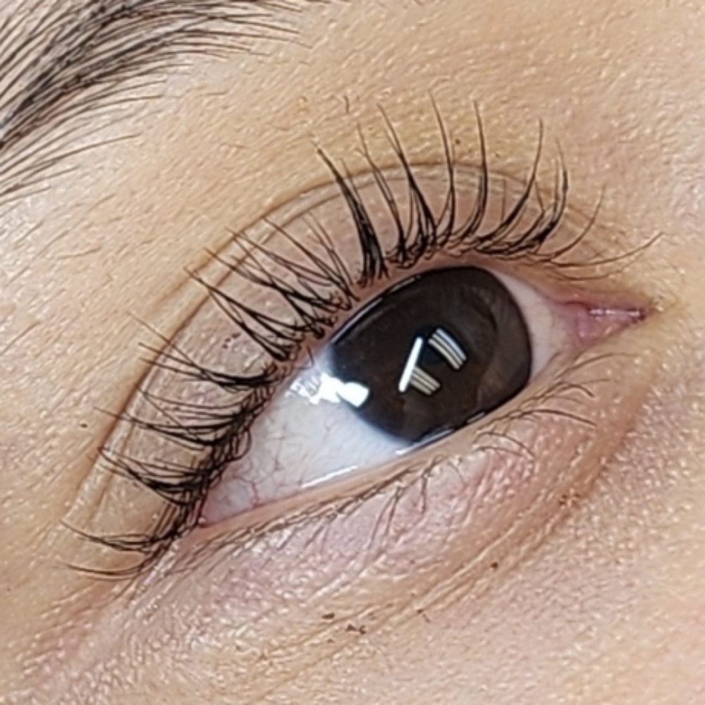 Lash Lift and Tint at Stae Awhile X LA Perez in Pueblo, CO