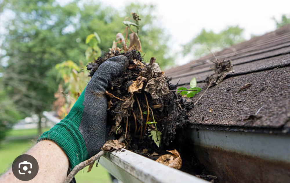 Gutter Clean Out