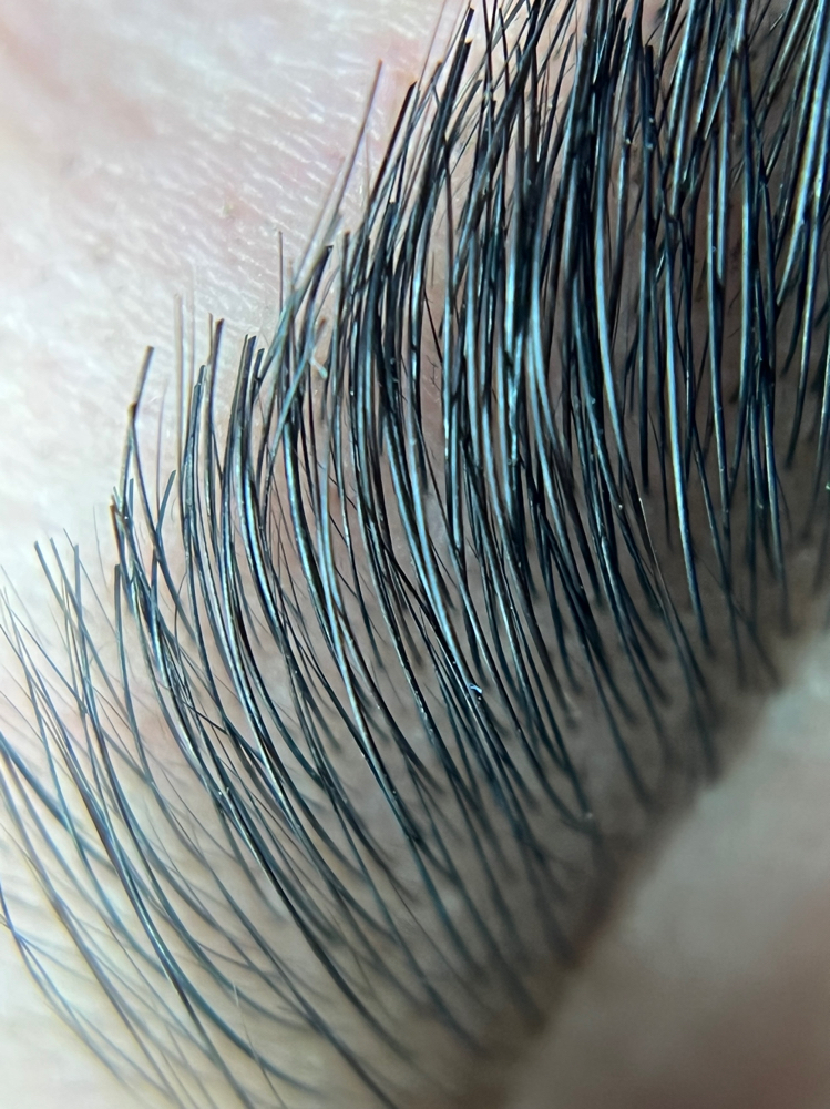 Brow Design + Tint