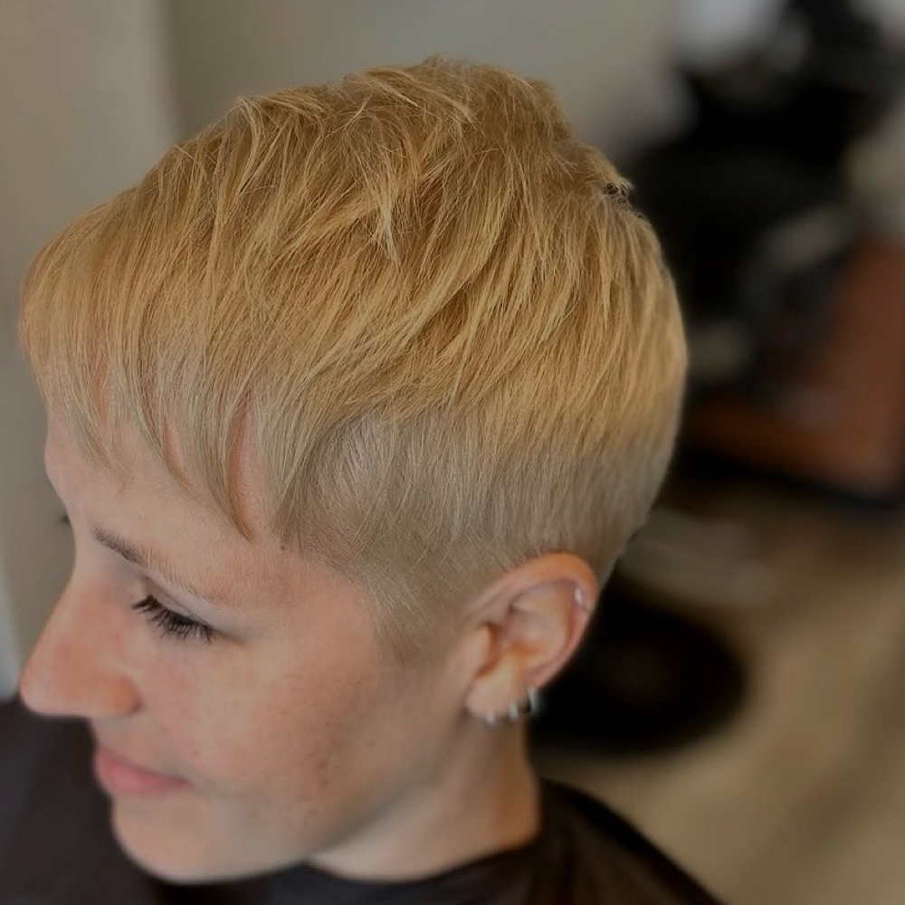 Short Hair Clipper Haircut at Salon Dahlia in Brandon, FL