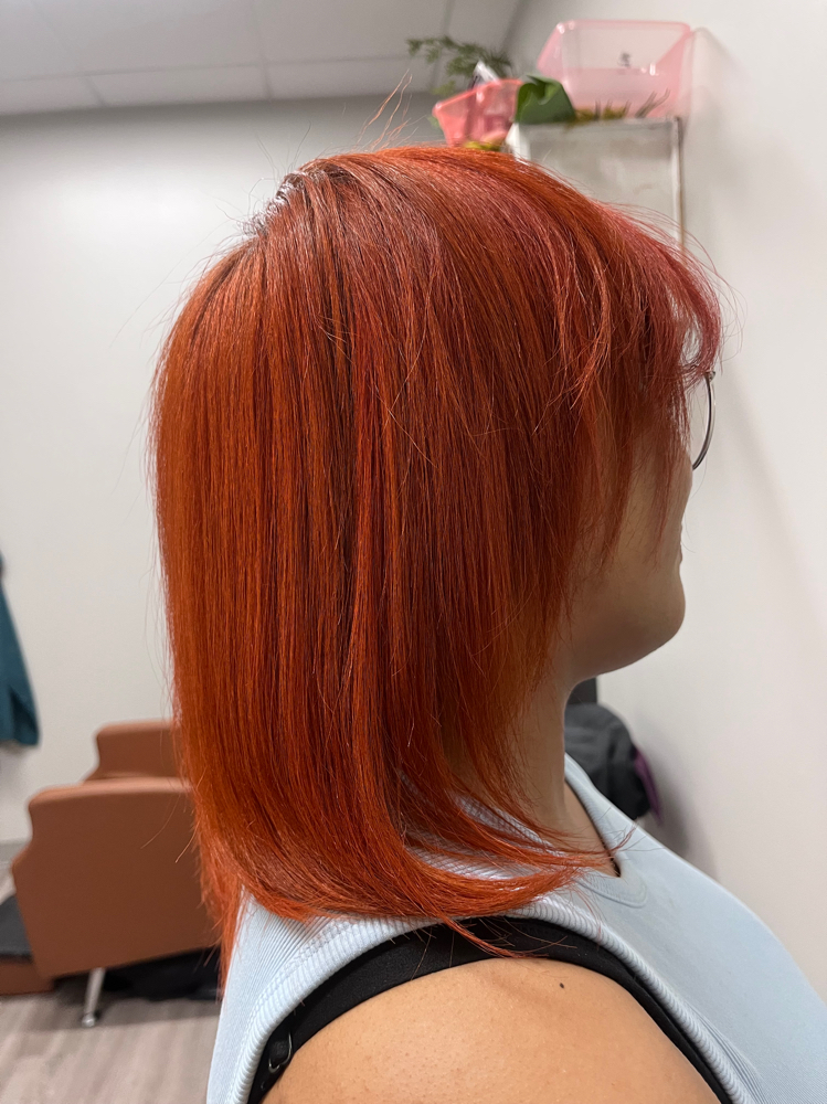 Single Process Color & Silk Press at Hair by Destiny in Dallas, TX