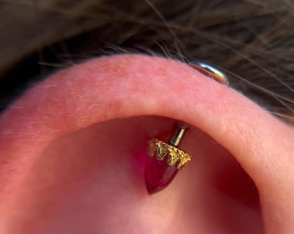 Piercers Choice Age 18+