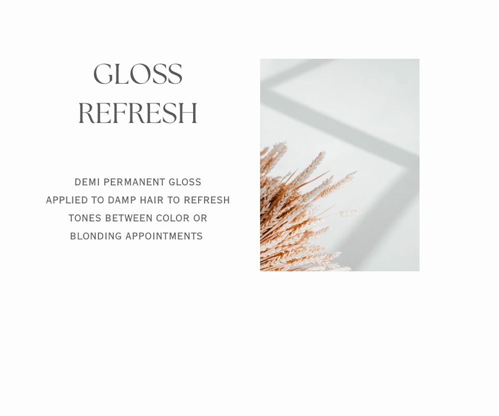 Gloss Refresh & Blowout