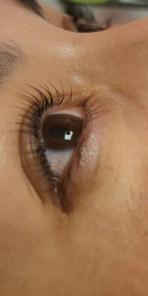 Lash Lift With Tint