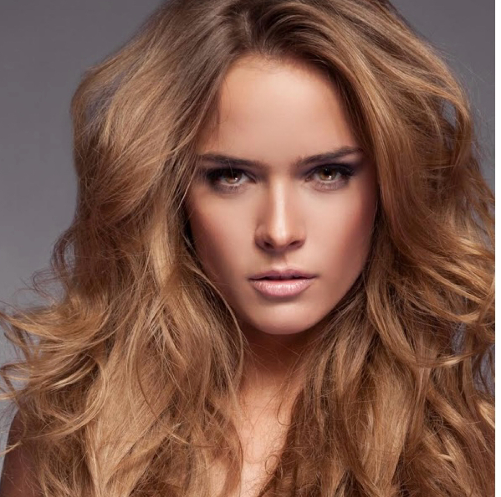 Signature Hair Cut And Finish at Hush Hair Studios in Fort Lauderdale, FL