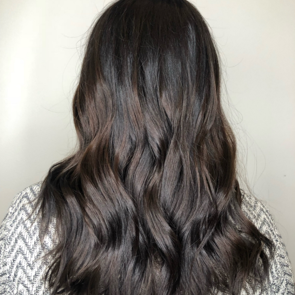 All Over Color + Haircut at Samantha Rose Salon in Oak Brook Terrace, IL