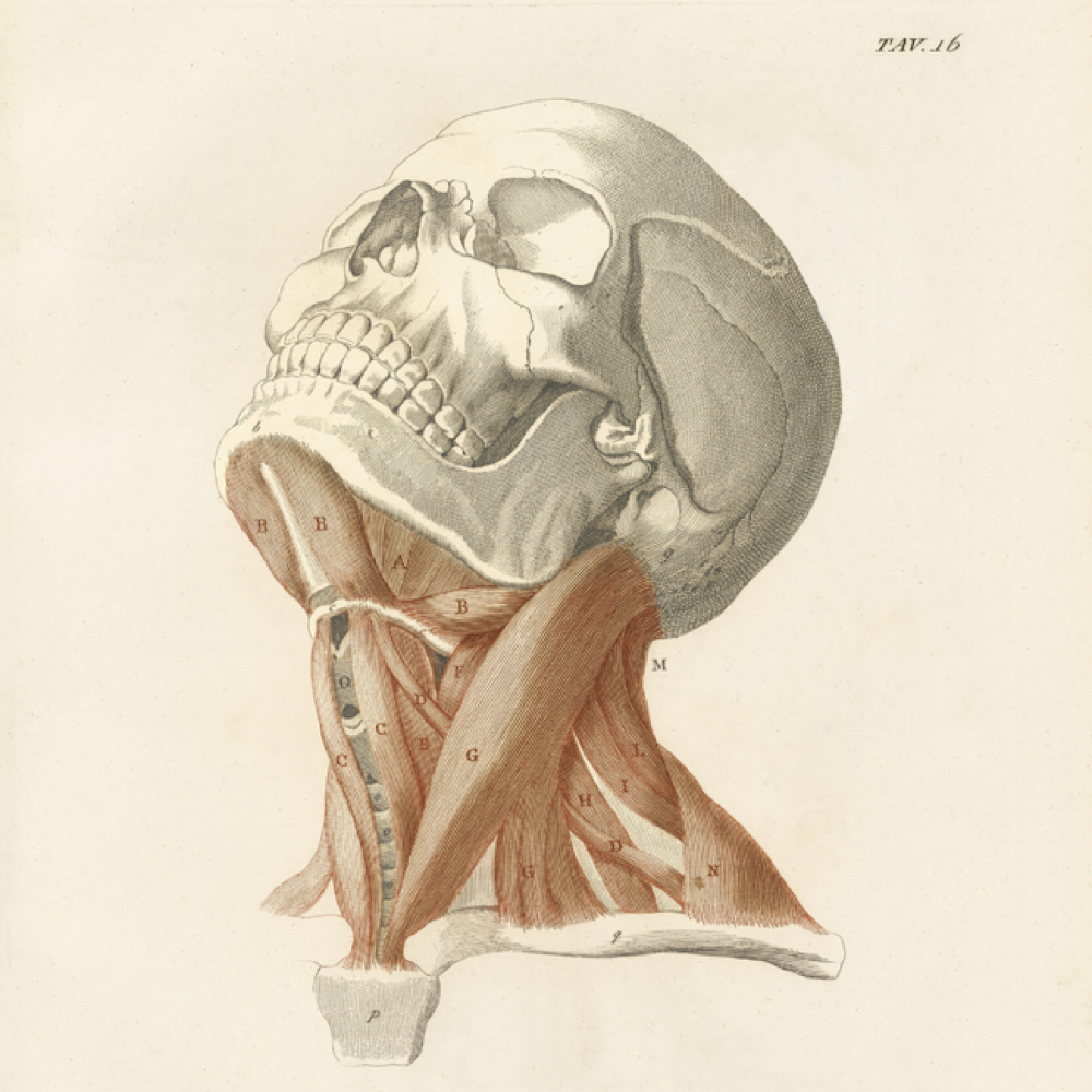 The Foundation at Reforge Bodywork in Reno, NV