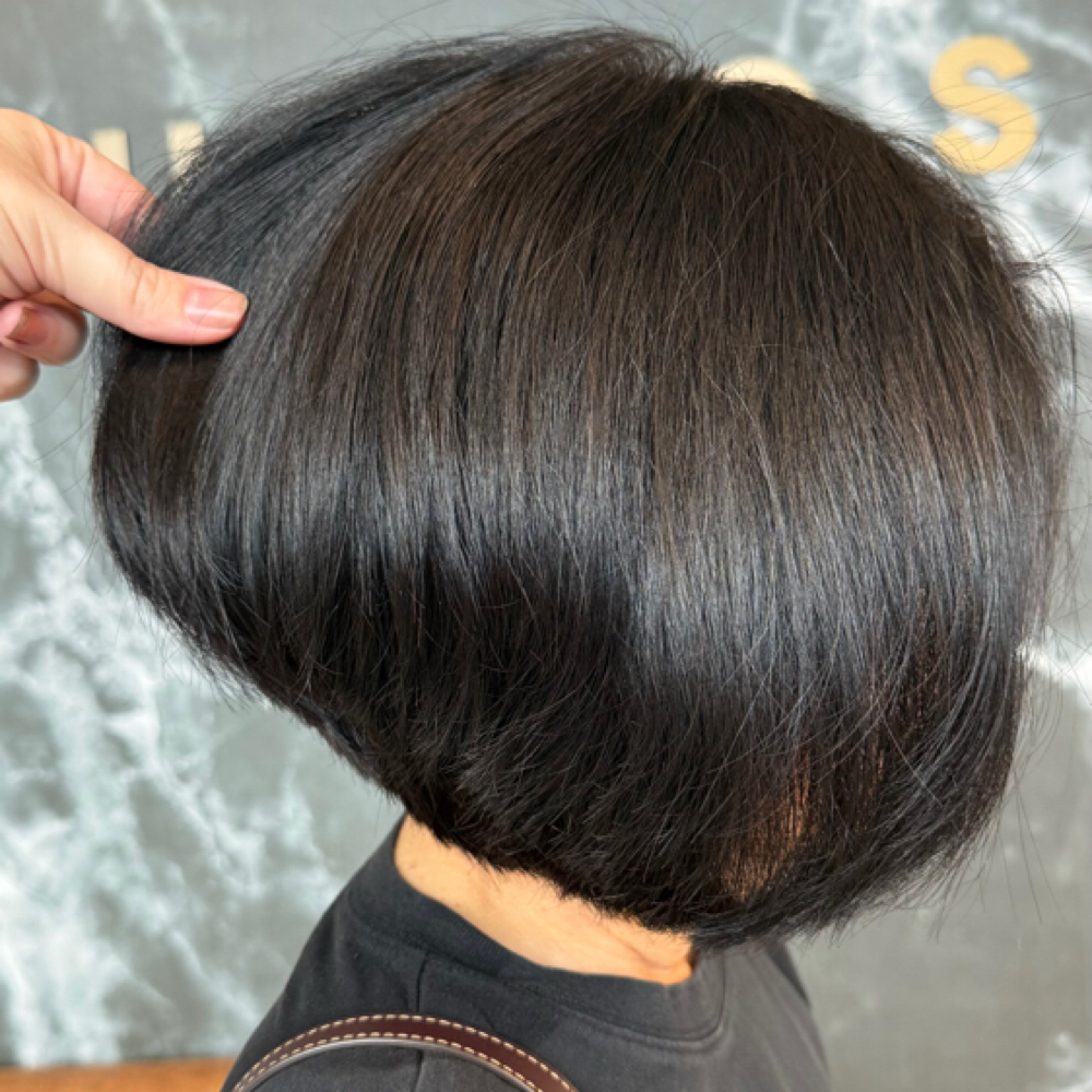 Full Color Refresh Package at Wild Roots Hair Artistry Studio in Webster, TX