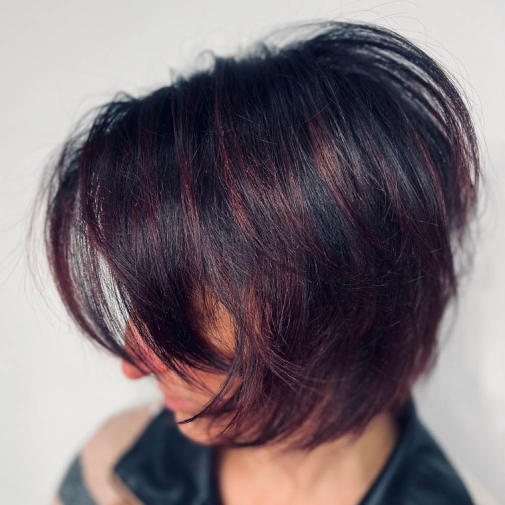 Partial Highlights W/Blowout at Luca Hair Professionals in Bloomingdale, IL