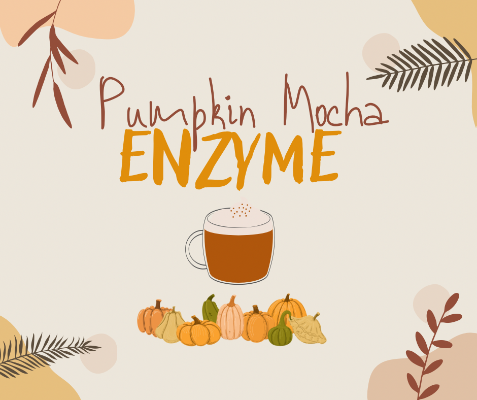 Pumpkin Mocha Enzyme