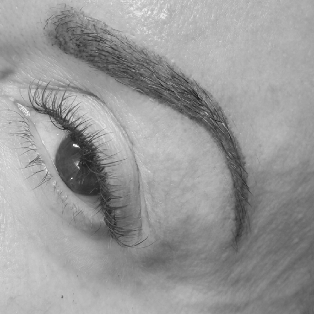 Powder Brows PMU at The Lash Specialist in Warwick, NY