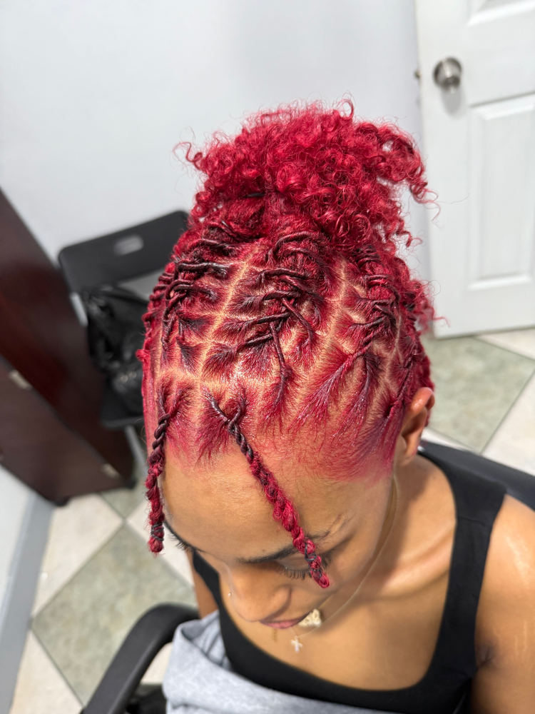 Color + Retwist & Style (full head) at BeautyQueen in Houston, TX