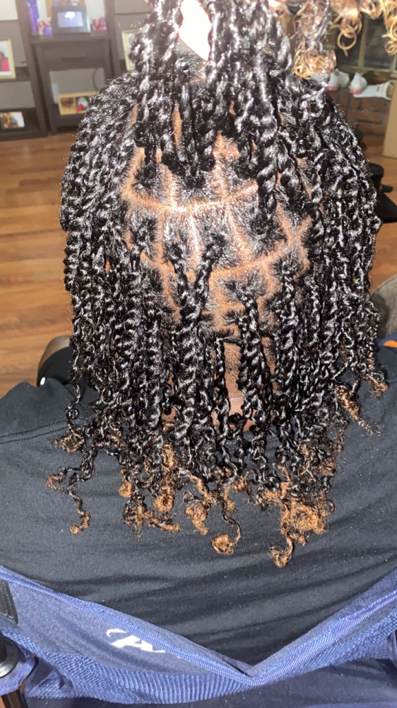 Starter Locs