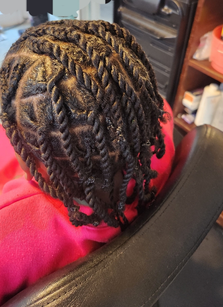 Two Strand Twist