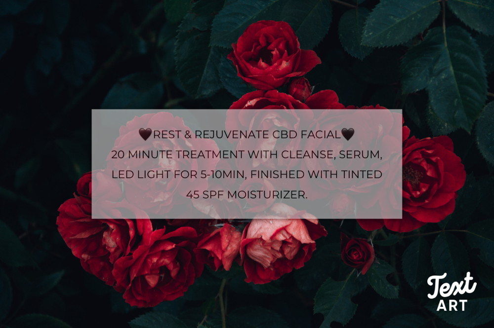 Rest & Rejuvenate