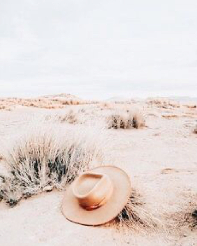 Sun-kissed Cowgirl