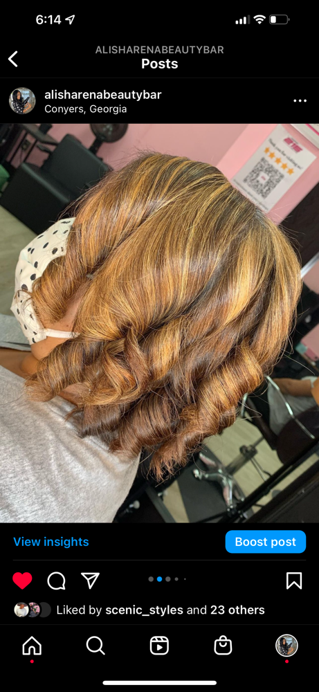 Partial Highlights + Silk Press