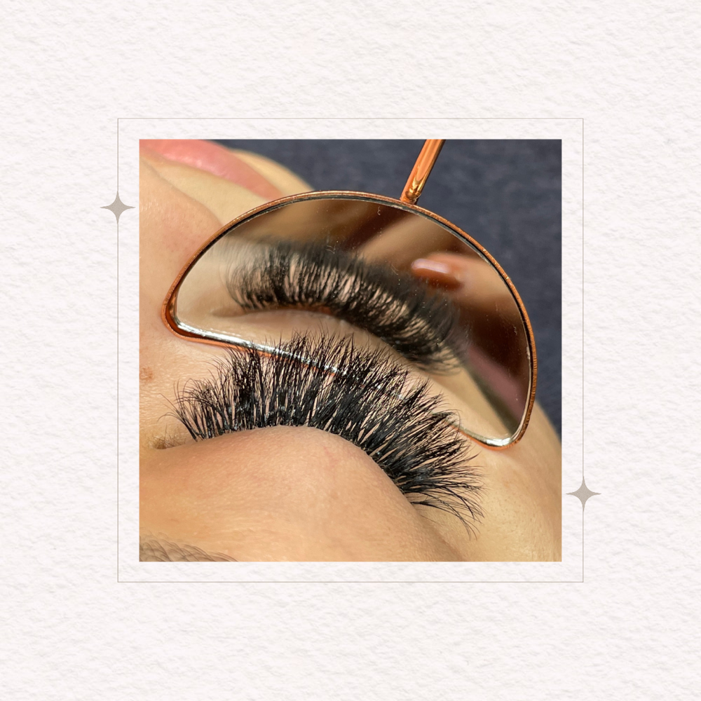 Lash Consultation