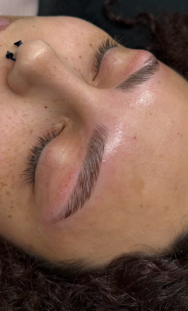 Brow Lamination & Wax - No Shading