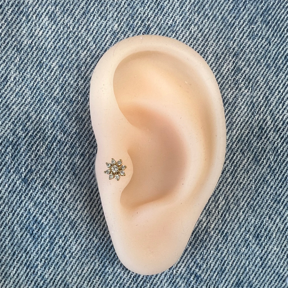 Tragus at The Brow & Skin Co. by Shannon in Cranberry Twp., PA