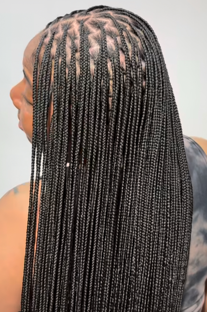 XS Braid Take Down
