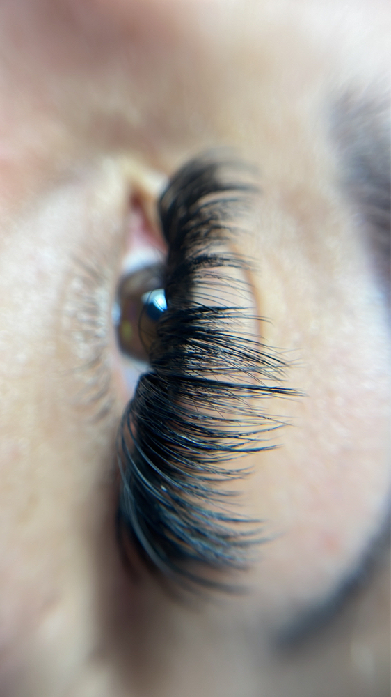 Volume Lash Extentions